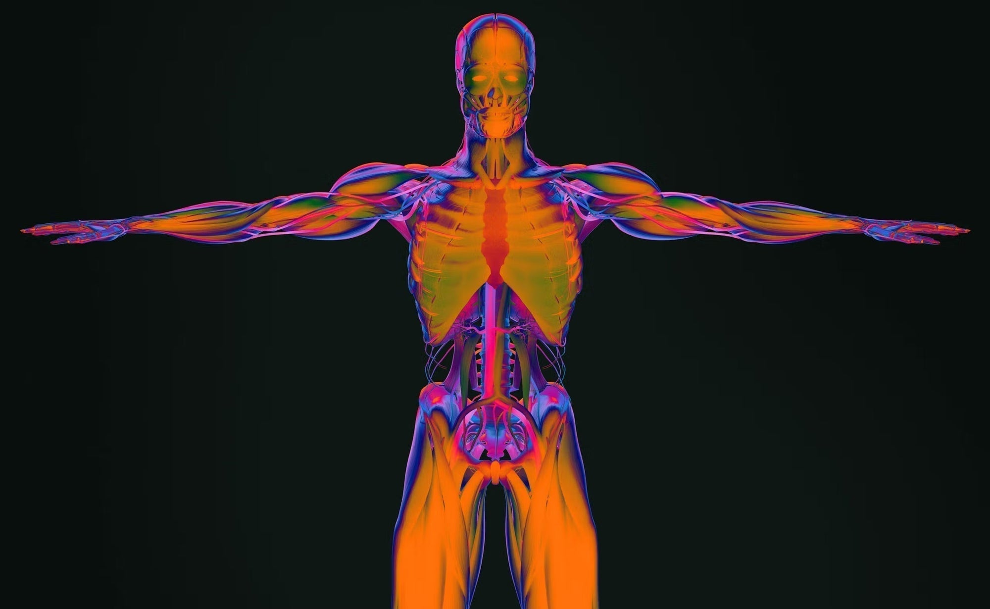 The Nervous System 101